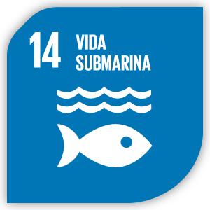 ODS 14:Vida submarina