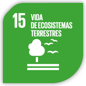 ODS 15:Vida de ecosistemas terrestres