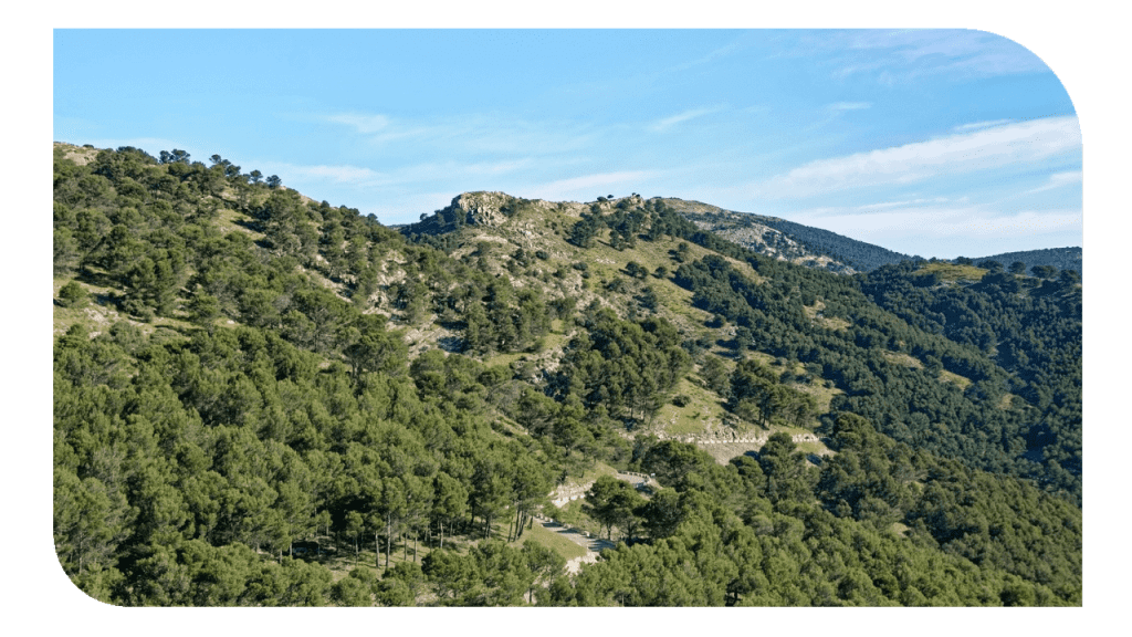 Subvención para municipios de los Parques Nacionales de Andalucía