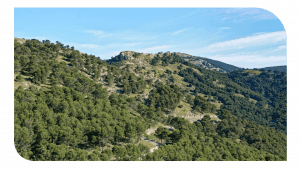 Subvención para municipios de los Parques Nacionales de Andalucía