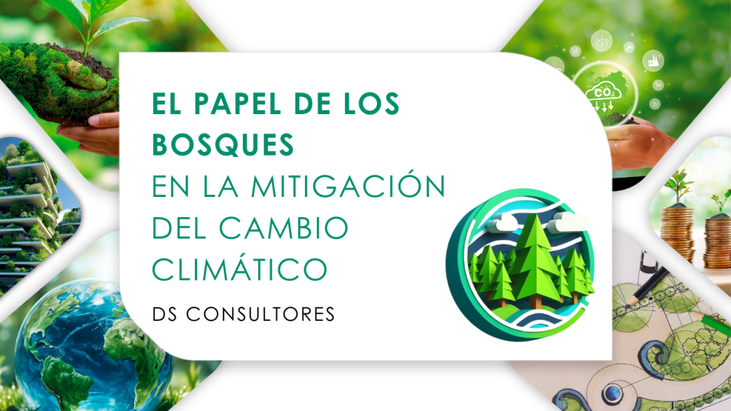 bosques cambio climático