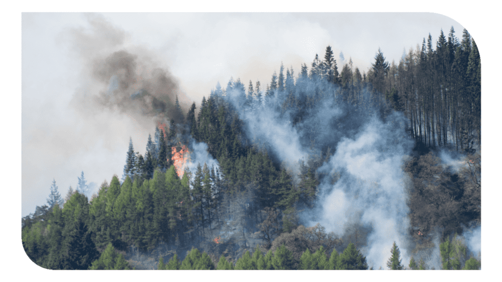 Subvención para la prevención de incendios forestales en la provincia de Alicante