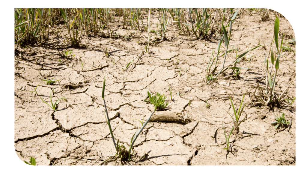 Plan Sequía 2025 en la provincia de Salamanca - Subvención para obras e instalaciones de abastecimiento de agua de consumo humano