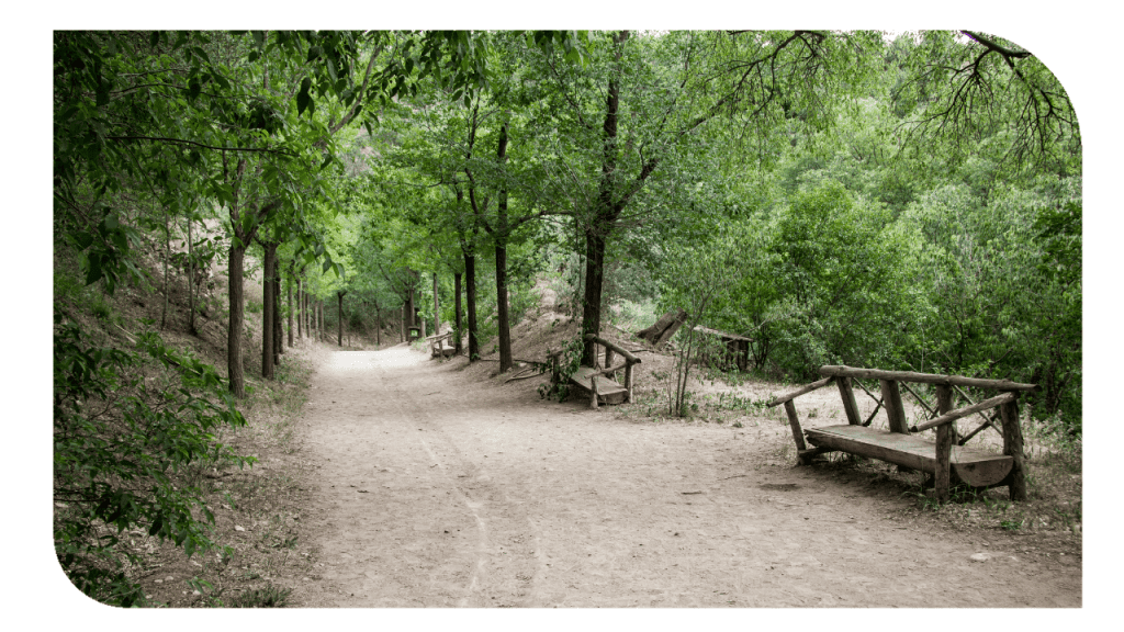 Subvención destinada a obras de mejora de caminos rurales dependientes de los municipios de la provincia de Palencia 2025