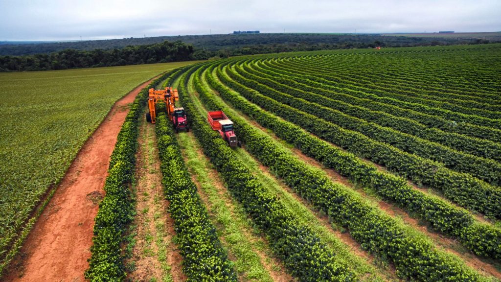 Agricultura