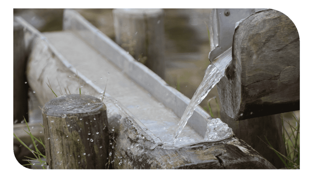 Subvención dirigida a actuaciones de bioeconomía en municipios con dificultades demográficas