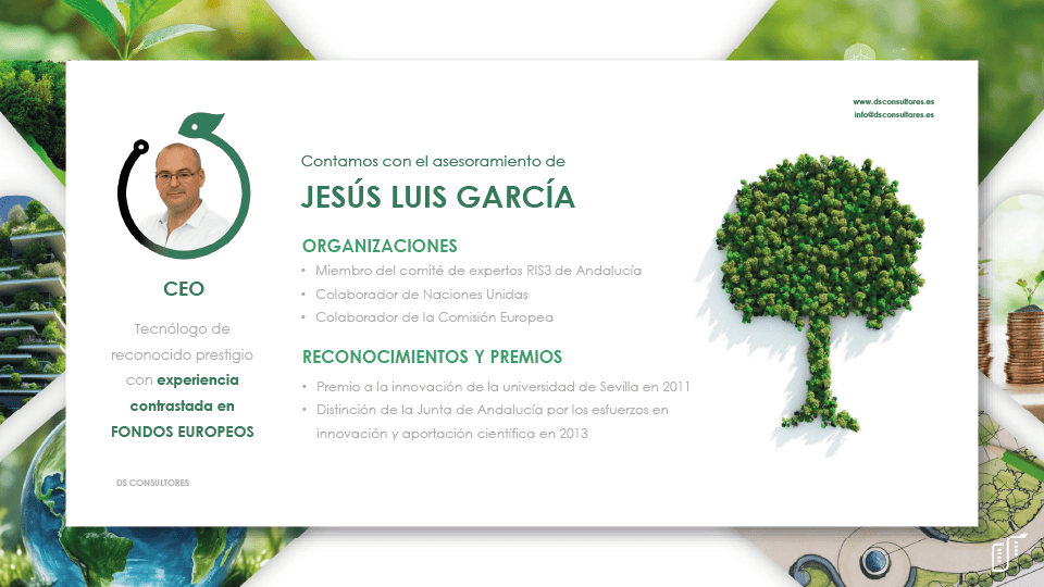 ppt_ds_oficial_vista_previa-15