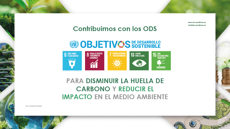 ppt_ds_oficial_vista_previa-19