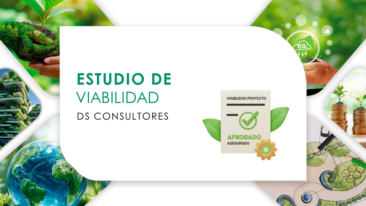 estudio de viabilidad